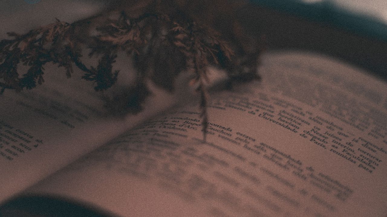 poesia de amor curtos