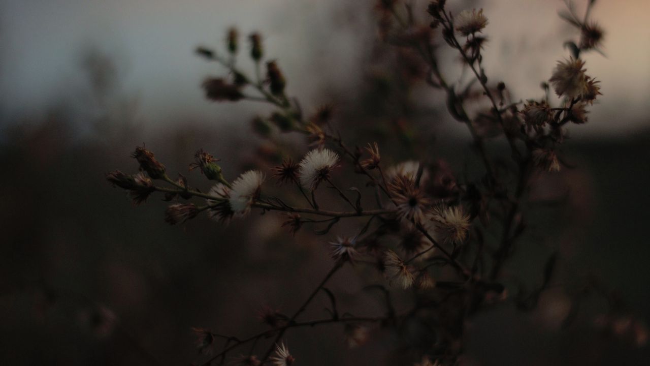 poesia e natureza