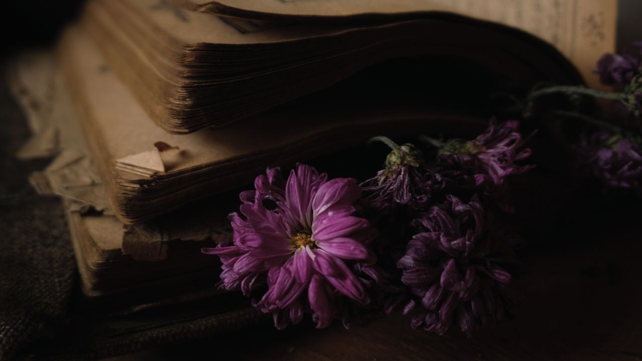 poesias de amor curtos